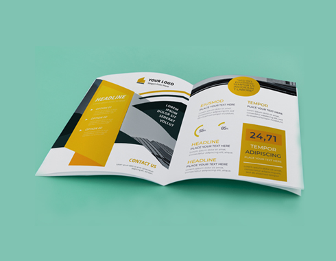Brochure Design- Digital Net Guru
